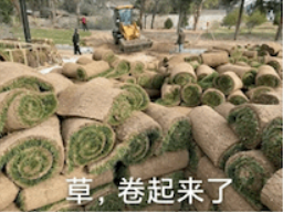 红男绿女才是经典？逆水寒官方为玩家送上大宋正统婚服(图1)