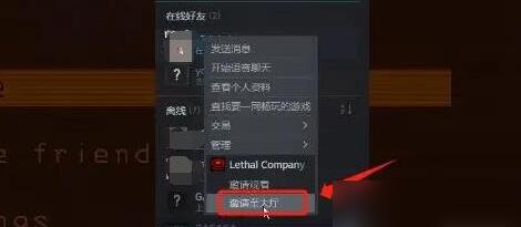 致命公司怎么联机游玩？(图5)