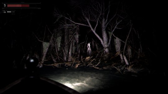 恐怖钓鱼冒险游戏《Drowned Lake》Steam页面上线 支持中文(图5)